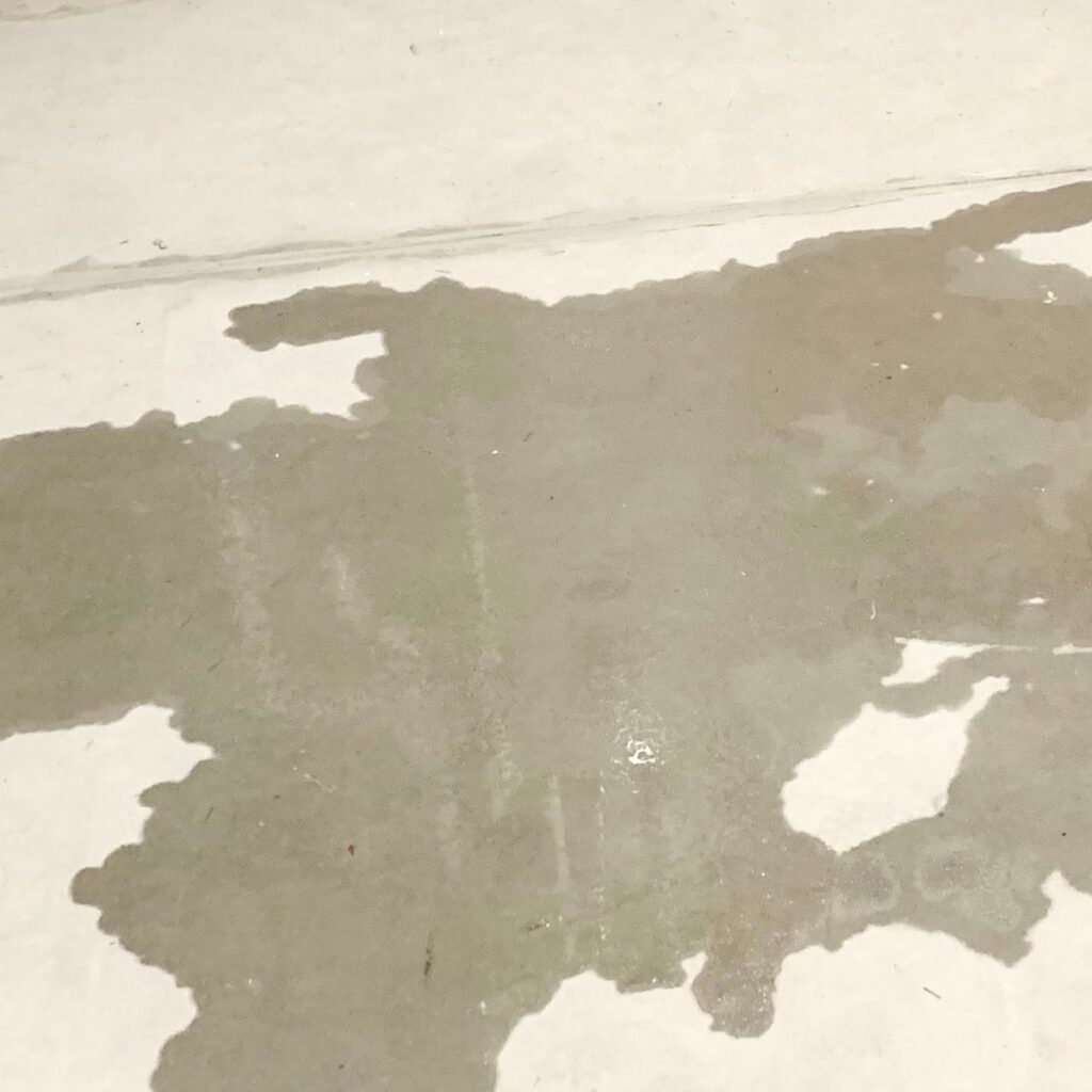 water pooling up on the ground from a slab leak