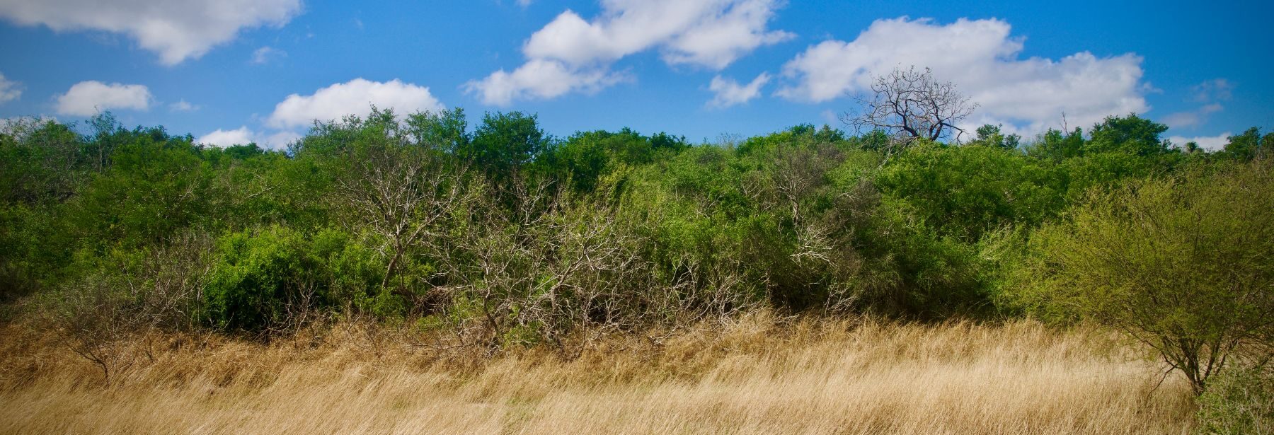 san angelo texas scenery
