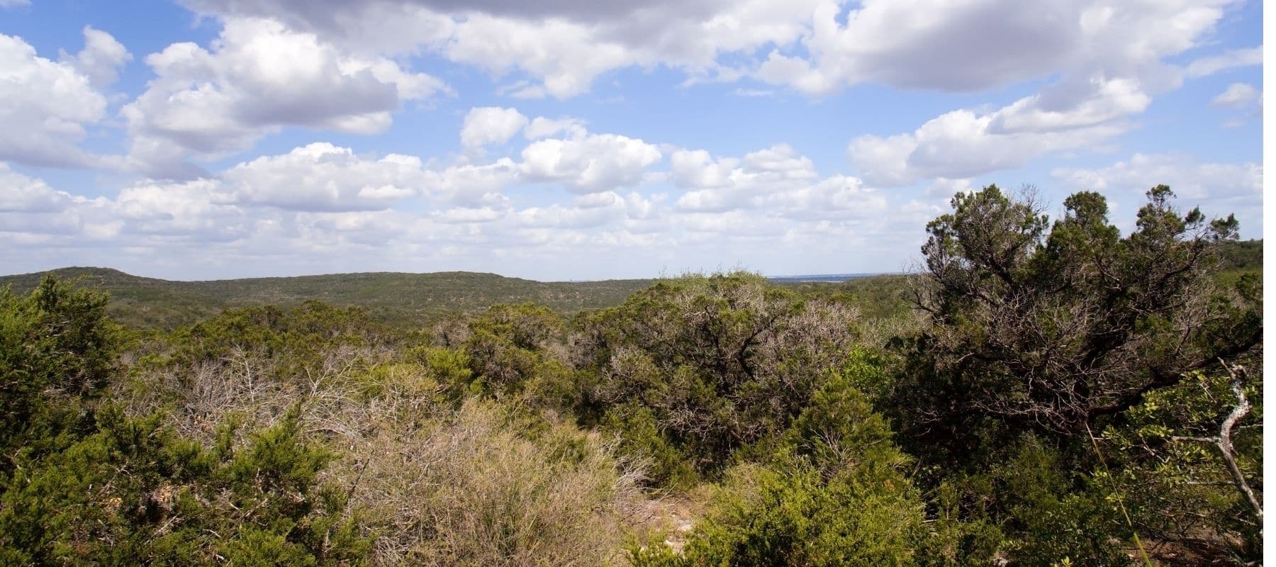 big spring texas