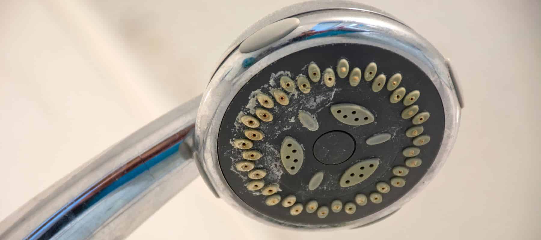 A close-up view of a shower head shows significant mineral buildup and residue on its nozzles, indicating hard water