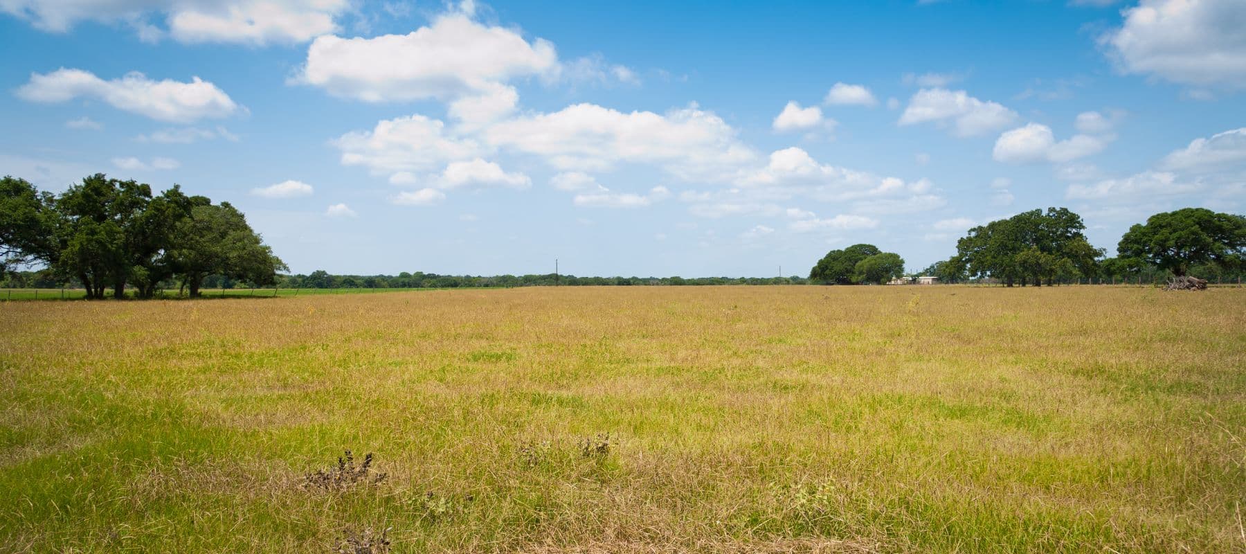 Open field under a blue sky